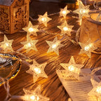 Christmas LED Lights