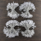 Christmas LED Lights